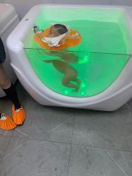 -丽复产后康复萧山旗舰中心
