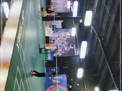 -尤尼克斯羽毛球主题馆