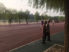 -二一九公园