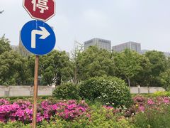 -尚贤河湿地