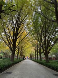 -Oasis Beauty水磨坊科技美肤中心