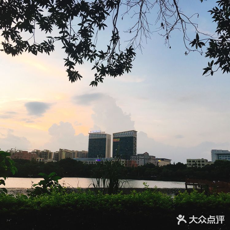 遛狗遛娃的好去处