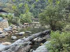 -石台牯牛降景区