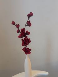 -ST时柒·问题肌抗衰美颜所