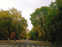 -吉林大学(南岭校区)