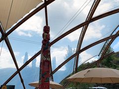 -怀托摩萤火虫洞