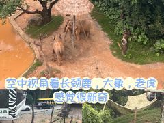 -广州长隆野生动物世界