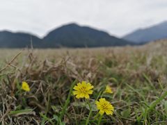 -罗坑大草原