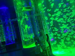-海合安成都极地海洋公园