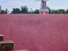 -羊亭河湿地公园