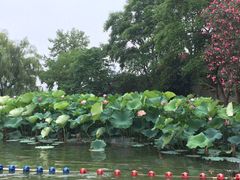 -湖南烈士公园(芙蓉区)