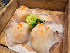 -龙悦湾酒家·八阵鱼生·渔人码头店