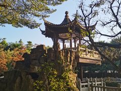 -福神岗公园