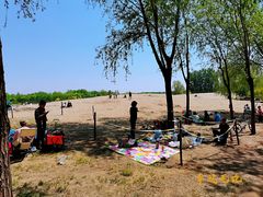 -东郊湿地公园