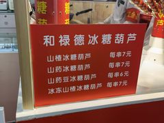 -和禄德冰糖葫芦
