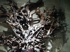 -乐山乌木文化博览苑