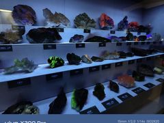 -湖南省地质博物馆