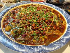 -新概念来凤鱼(璧山店)