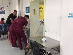 -美联众合动物医院·24h京西诊疗中心