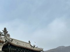 -五台山风景名胜区-罗睺寺