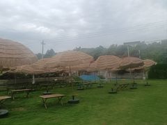 -桃源山庄·水蜜桃采摘·柴火鸡·烧烤团建(龙泉山店)