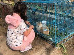 -美家乐农庄·露营·团建(大治路店)