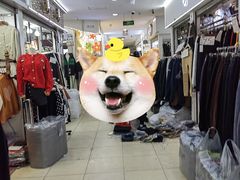 -南京环北服装批发市场