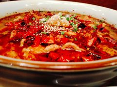 -茅庐毛血旺(烟台大悦城店)