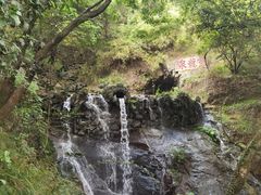 -宁波市保国寺古建筑博物馆