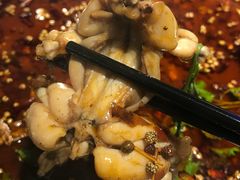 -蛙鱼道美蛙鱼自助火锅(新耍都店)