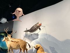 -中国湿地博物馆