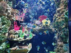 -海合安青岛极地海洋公园