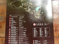 -成都大熊猫繁育研究基地