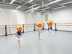 -中央芭蕾舞团·中芭艺蕾(酒仙桥明星校区)