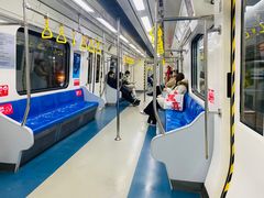 -望京西(地铁站)