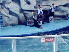 -泉州海丝野生动物世界