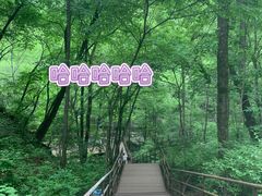 -茅兰沟国家森林公园