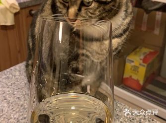 我家肥仔叫 Assholer，翻译成中文就是“小**