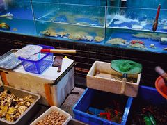 水产区-浙C老邻舍(西城海错店)