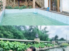 -广州市流溪河国家森林公园
