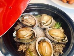 -欢乐海岸美食联盟