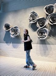 -LB·海菲秀牛奶光官方体验中心