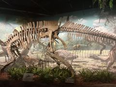 -辽宁古生物博物馆