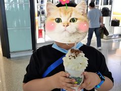 -茶颜悦色(登高路上店)