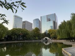 -团结湖公园