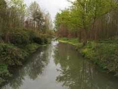 -桤木河湿地公园