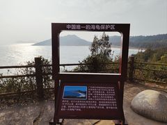 -广东惠东海龟国家级自然保护区