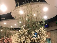 -黑松白鹿(崇文门新活馆店)
