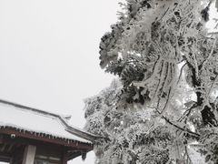 -峨眉山风景名胜区