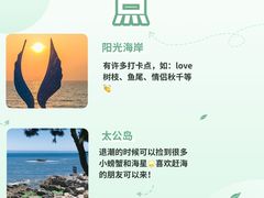 -日照海滨国家森林公园